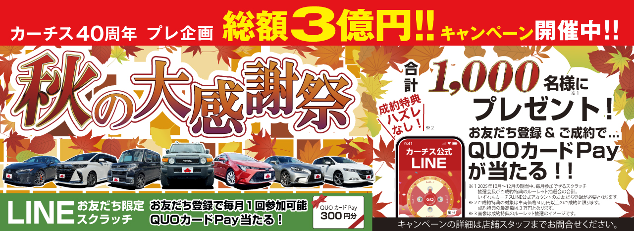 Autumn sales 2025